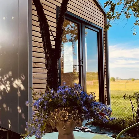 Appartement Tiny House Nah Am Nationalpark *