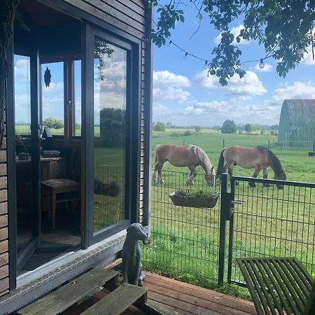 Appartement Tiny House Nah Am Nationalpark